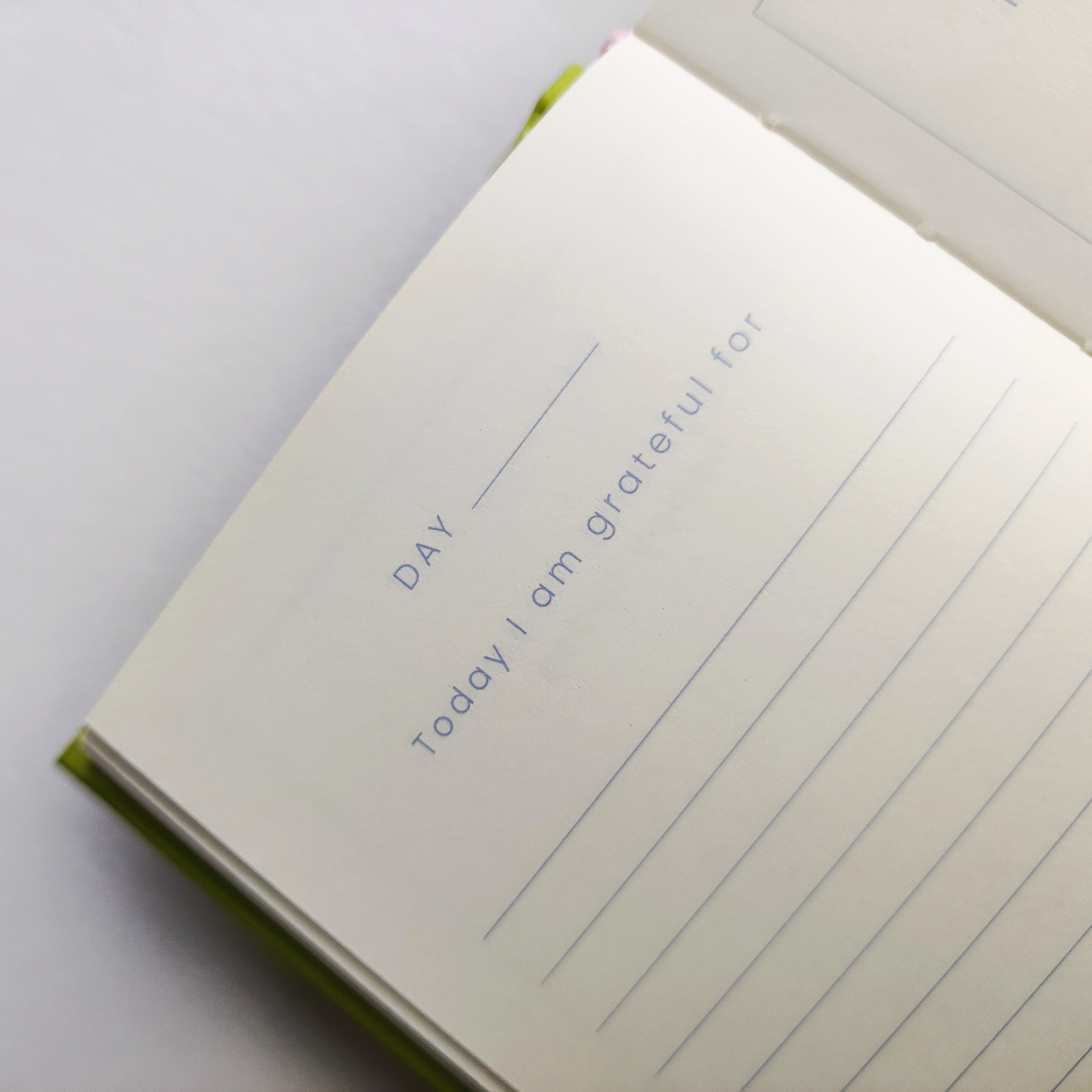 Petalscape Happiness Journal A7