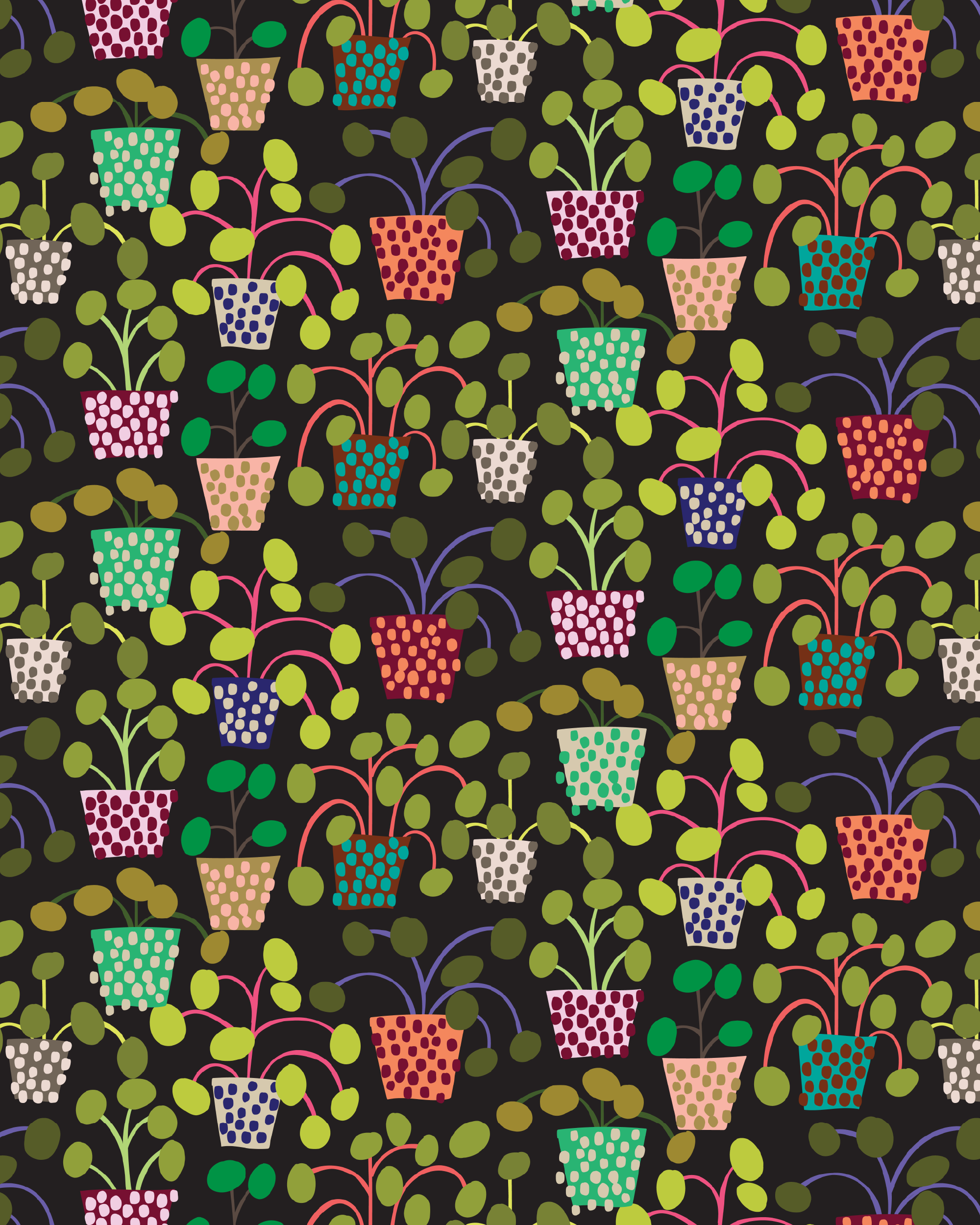 Dotty Houseplants