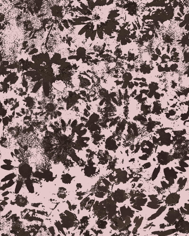 Abstract Mono Daisies-zoom-