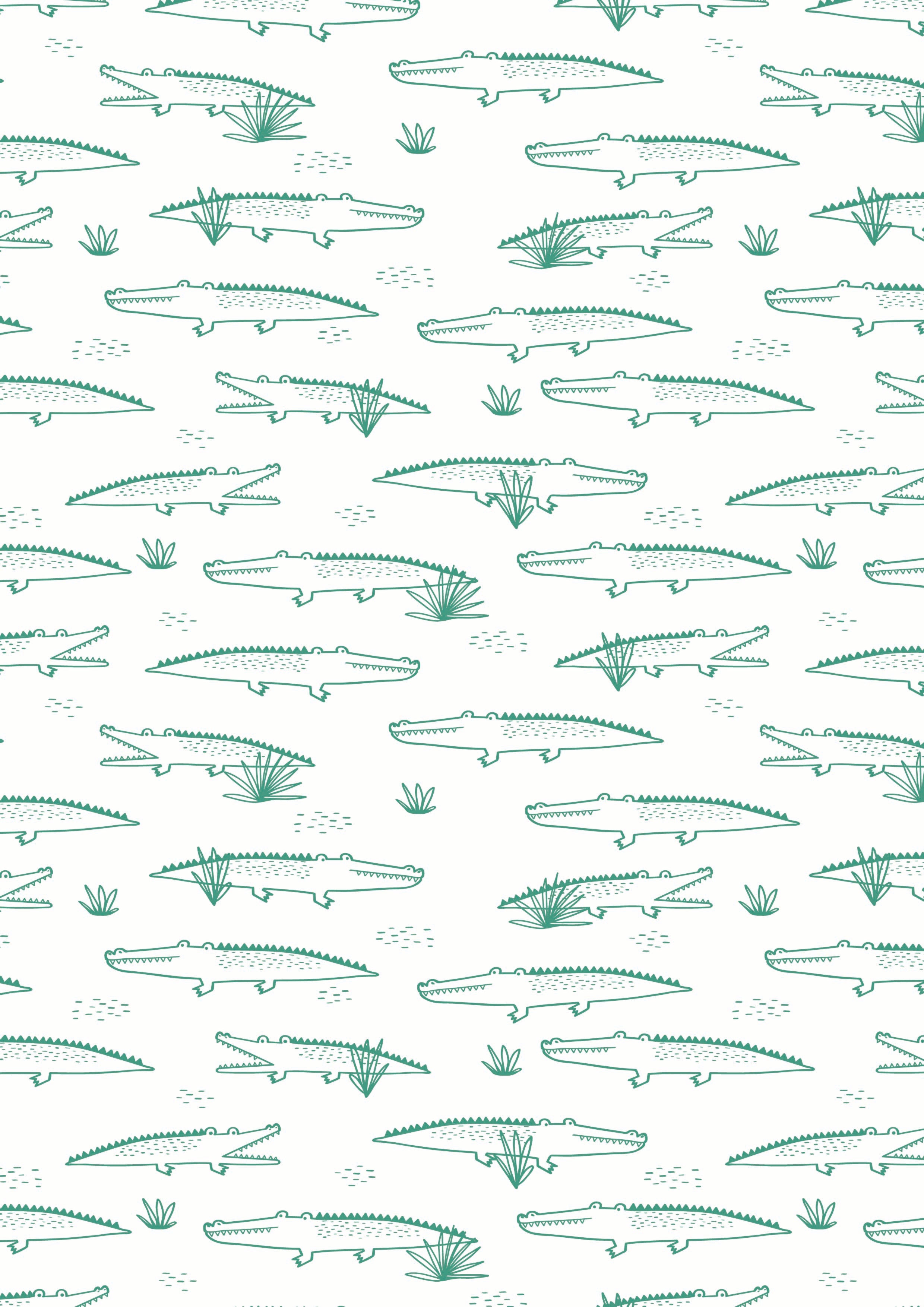 Crocodiles Mono