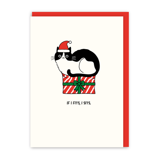 If It Fits, I Sits Christmas Card