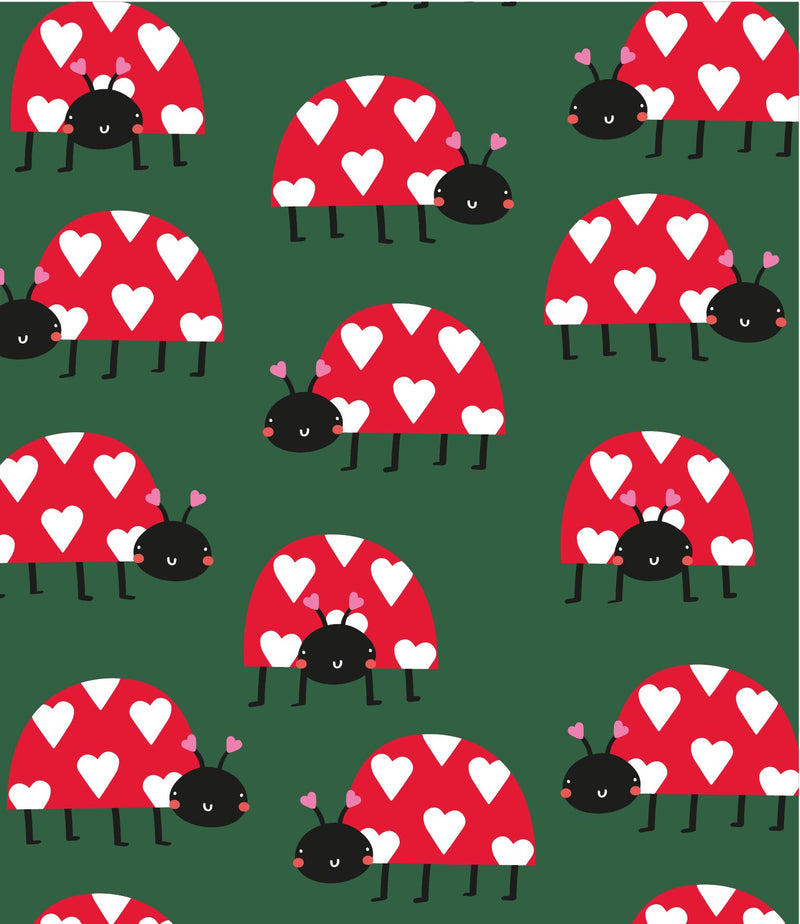 Love Ladybird-zoom-