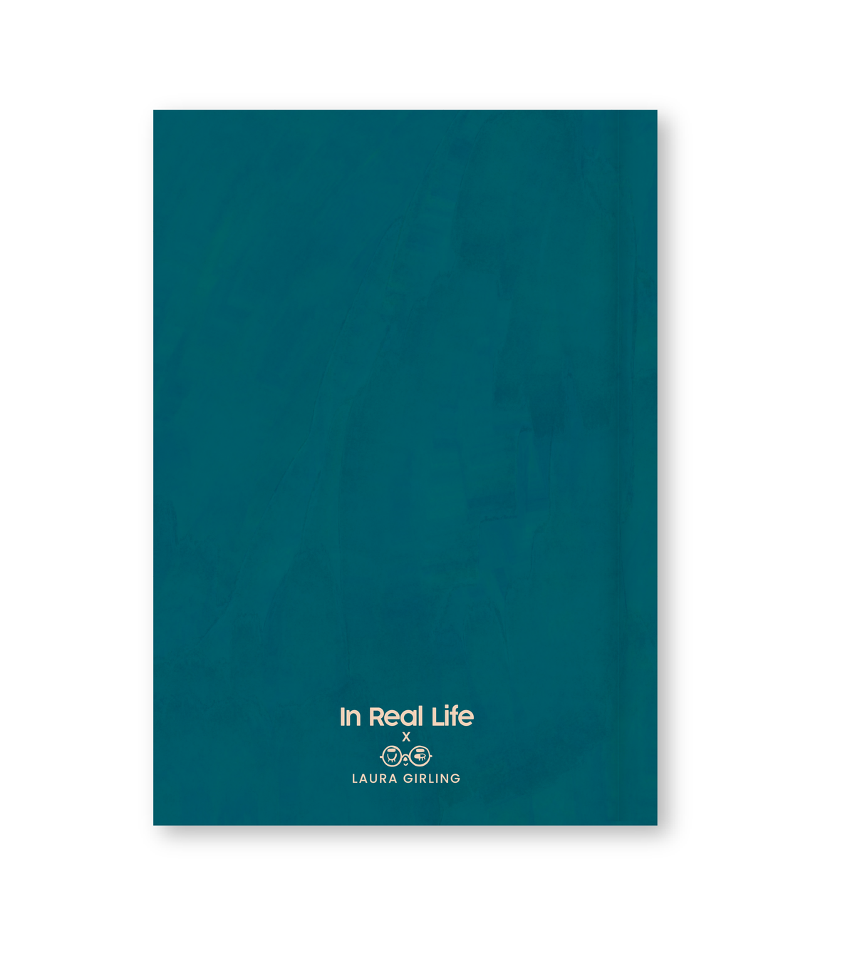 Clarity Productivity Journal-3