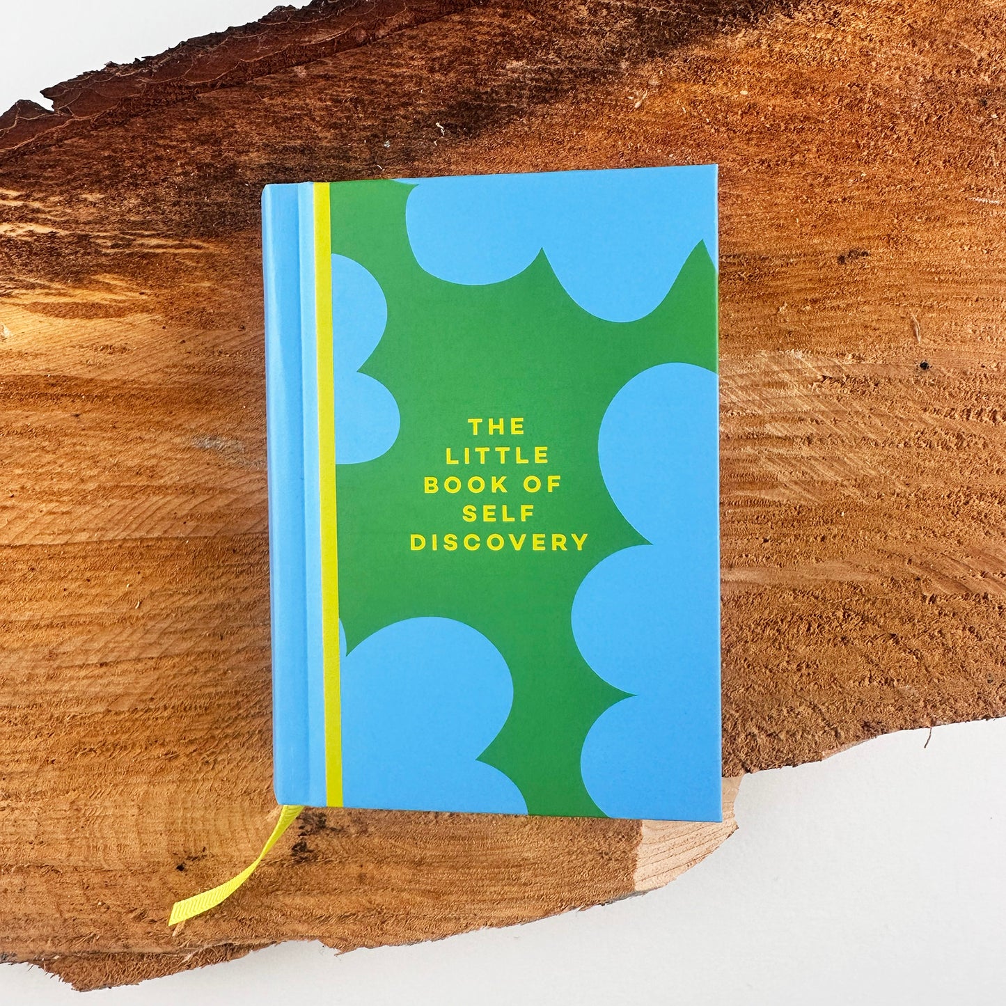 The Little Book Of Self Discovery Mini Journal