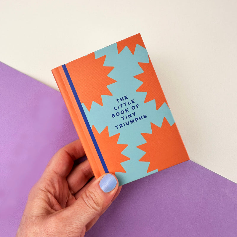 The Little Book Of Tiny Triumphs Mini Journal-zoom-