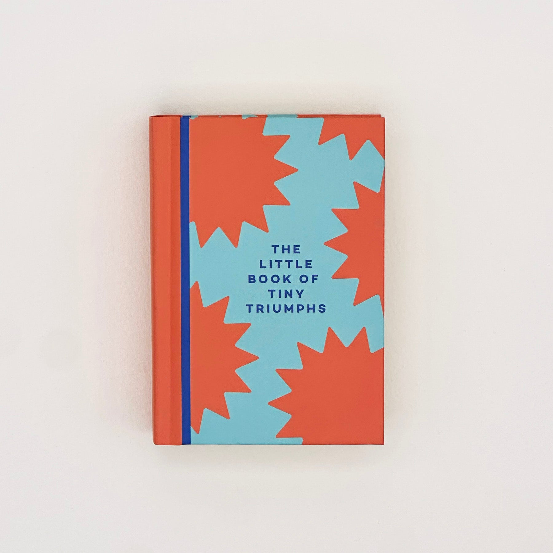 The Little Book Of Tiny Triumphs Mini Journal