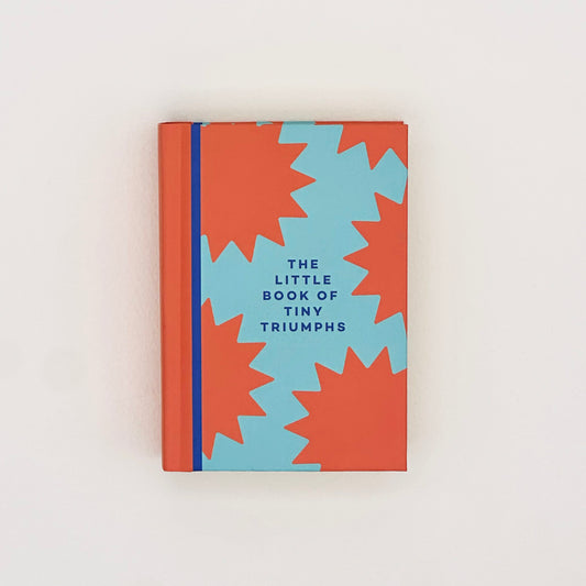 The Little Book Of Tiny Triumphs Mini Journal